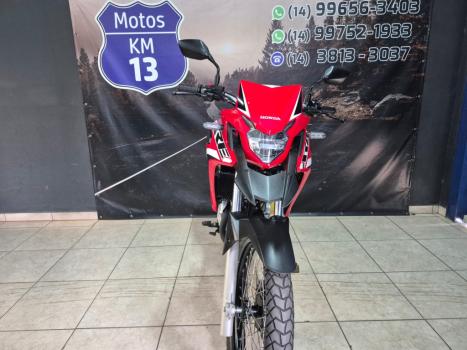 HONDA XRE 300 RALLY ABS, Foto 8