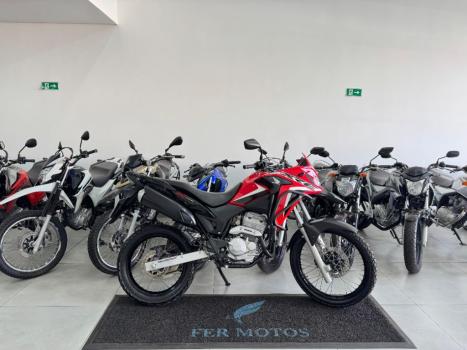 HONDA XRE 300 RALLY ABS, Foto 1