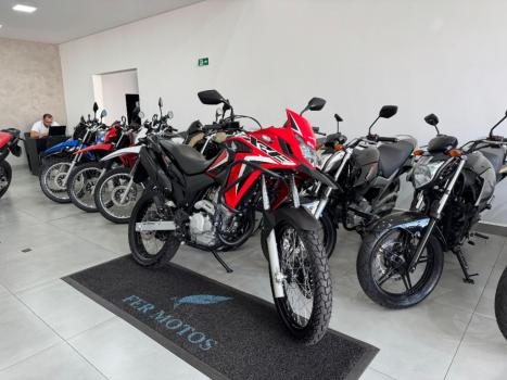 HONDA XRE 300 RALLY ABS, Foto 2