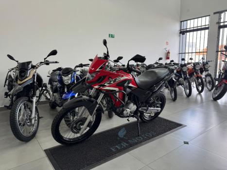 HONDA XRE 300 RALLY ABS, Foto 3