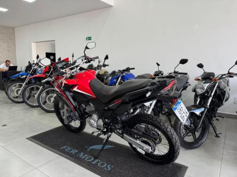 HONDA XRE 300 RALLY ABS, Foto 5