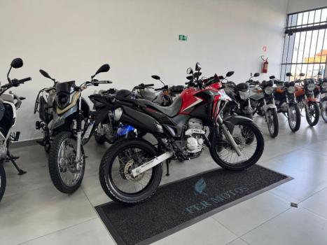 HONDA XRE 300 RALLY ABS, Foto 6