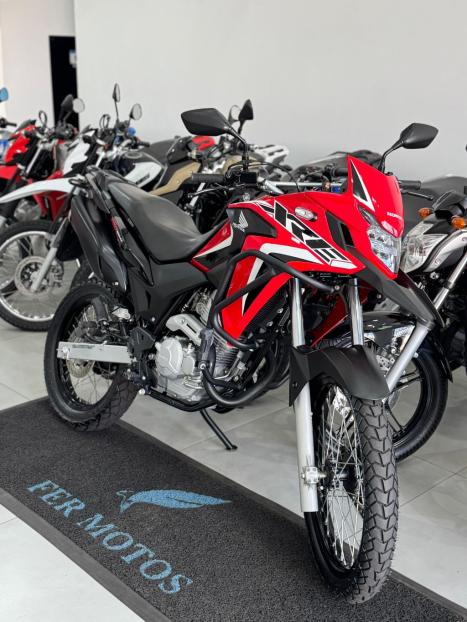 HONDA XRE 300 RALLY ABS, Foto 7