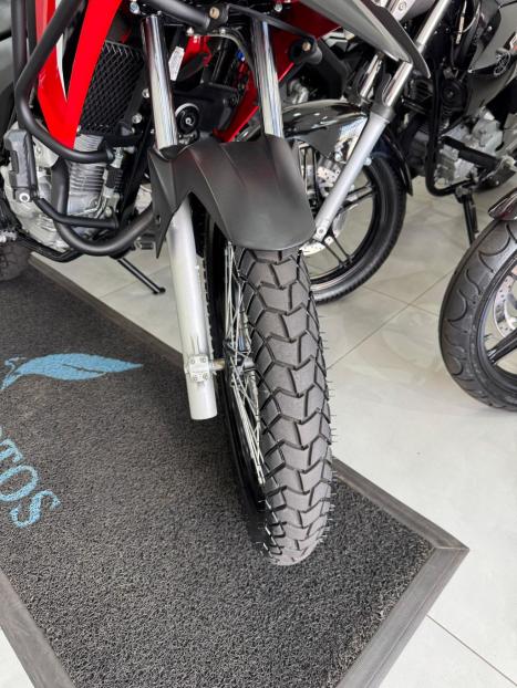 HONDA XRE 300 RALLY ABS, Foto 9