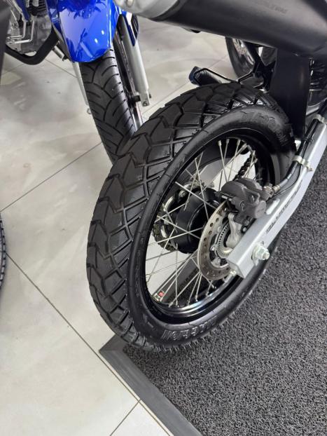HONDA XRE 300 RALLY ABS, Foto 10