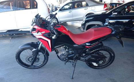 HONDA XRE 300 Sahara RALLYE, Foto 3