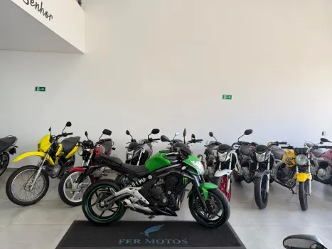 KAWASAKI ER-6N 650 , Foto 1