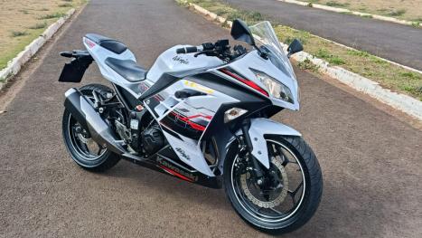KAWASAKI Ninja 300 , Foto 2