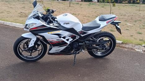 KAWASAKI Ninja 300 , Foto 4