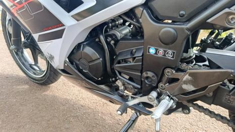 KAWASAKI Ninja 300 , Foto 7