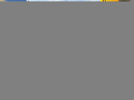 RENAULT Sandero 1.0 12V 4P FLEX SCE ZEN, Foto 5