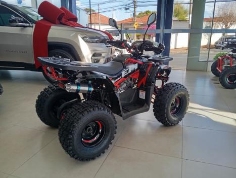 SHINERAY ATV 125 EFI , Foto 7
