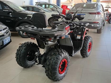SHINERAY ATV 200 EFI , Foto 6