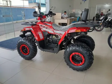 SHINERAY ATV 200 EFI , Foto 3