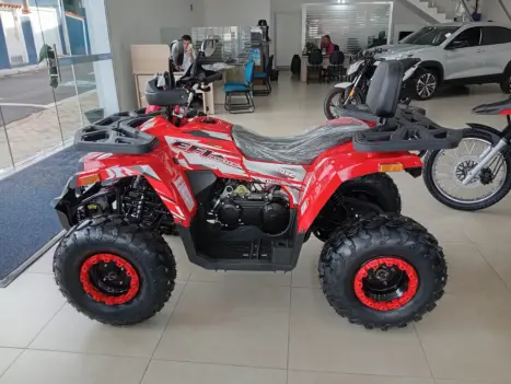 SHINERAY ATV 200 EFI , Foto 4
