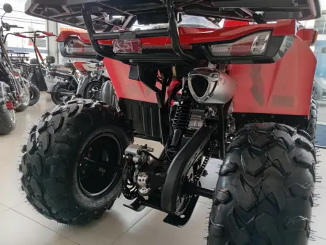 SHINERAY ATV 200 EFI , Foto 5