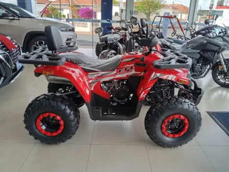 SHINERAY ATV 200 EFI , Foto 6
