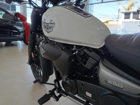 SHINERAY Titanium 250 , Foto 8