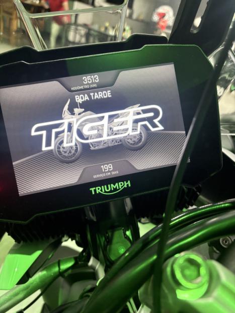 TRIUMPH Tiger 900 GT Pro , Foto 6