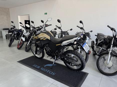 YAMAHA Lander 250 , Foto 3