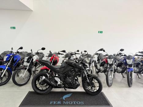 YAMAHA MT-03 300 ABS, Foto 1
