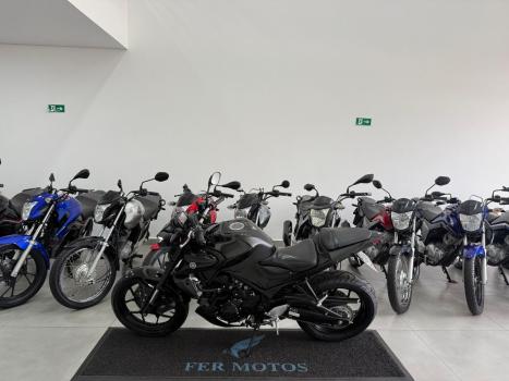 YAMAHA MT-03 300 ABS, Foto 2