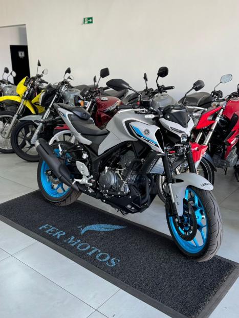 YAMAHA MT-03 300 ABS, Foto 3