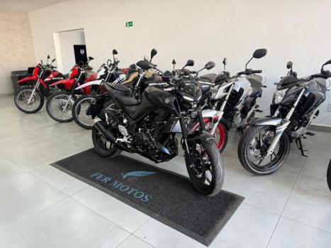YAMAHA MT-03 300 ABS, Foto 2