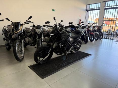 YAMAHA MT-03 300 ABS, Foto 3