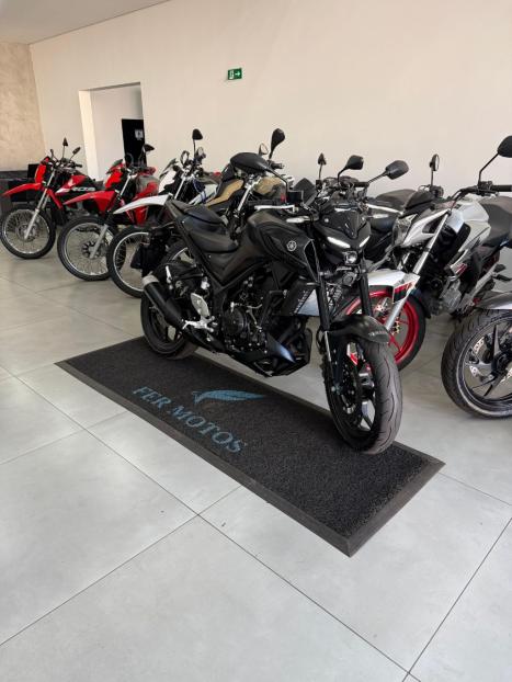YAMAHA MT-03 300 ABS, Foto 6