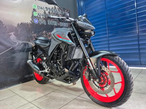 YAMAHA MT-03 300 ABS, Foto 3