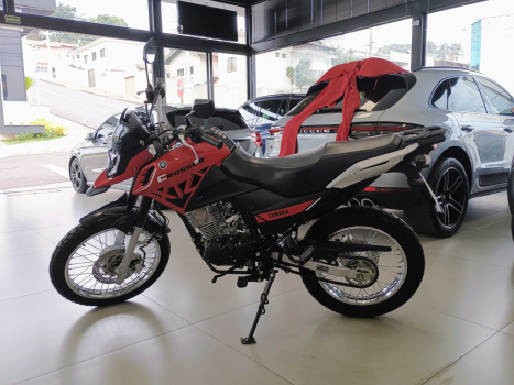 YAMAHA XTZ 150 Crosser S, Foto 6