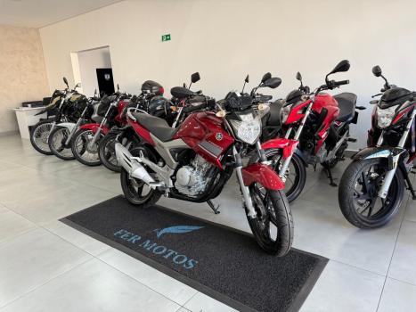 YAMAHA YS Fazer 250 BLUE FLEX, Foto 2