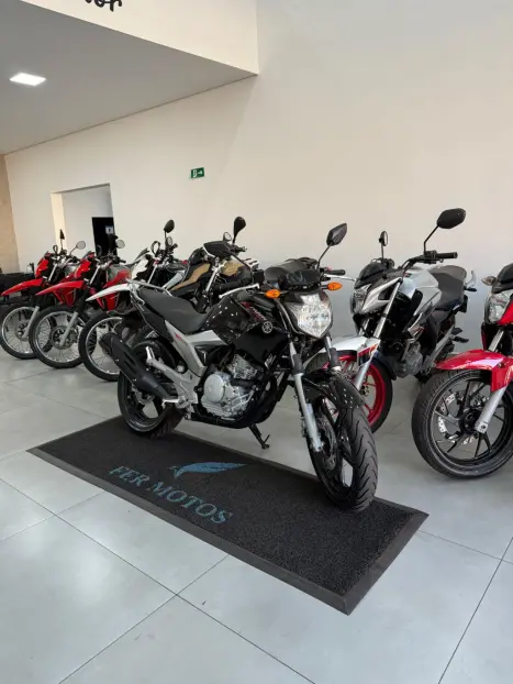 YAMAHA YS Fazer 250 , Foto 7