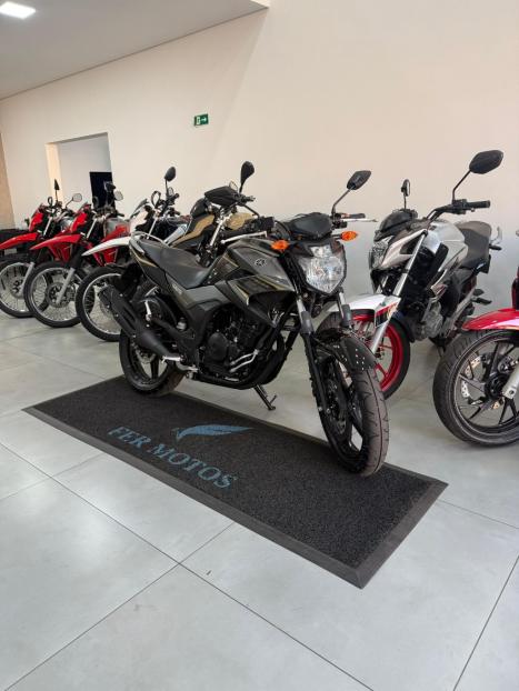 YAMAHA YS Fazer 250 BLUE FLEX, Foto 7