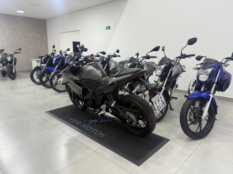 YAMAHA YZF R3 320 ABS, Foto 2