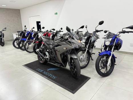 YAMAHA YZF R3 320 ABS, Foto 3