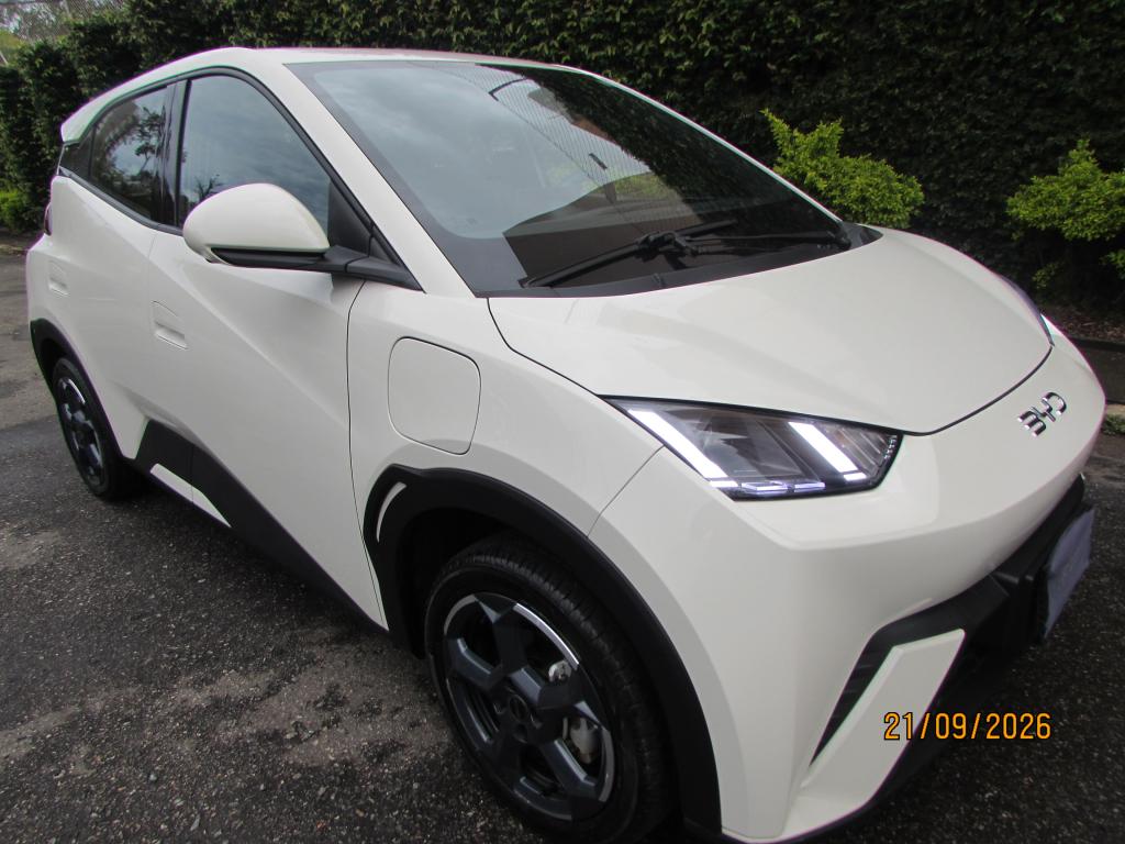 BYD Dolphin Mini