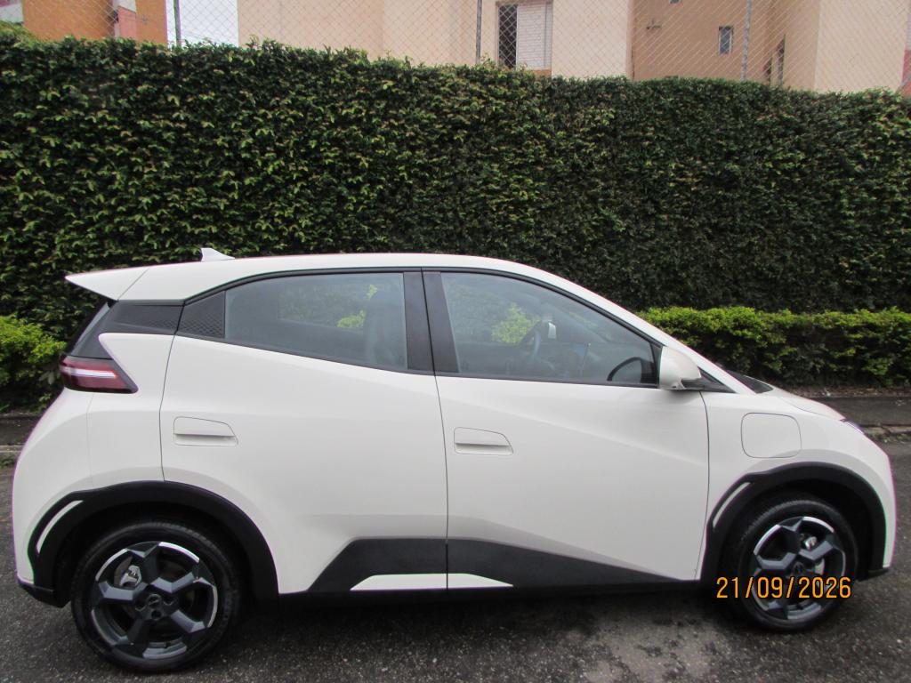 BYD Dolphin Mini - Foto