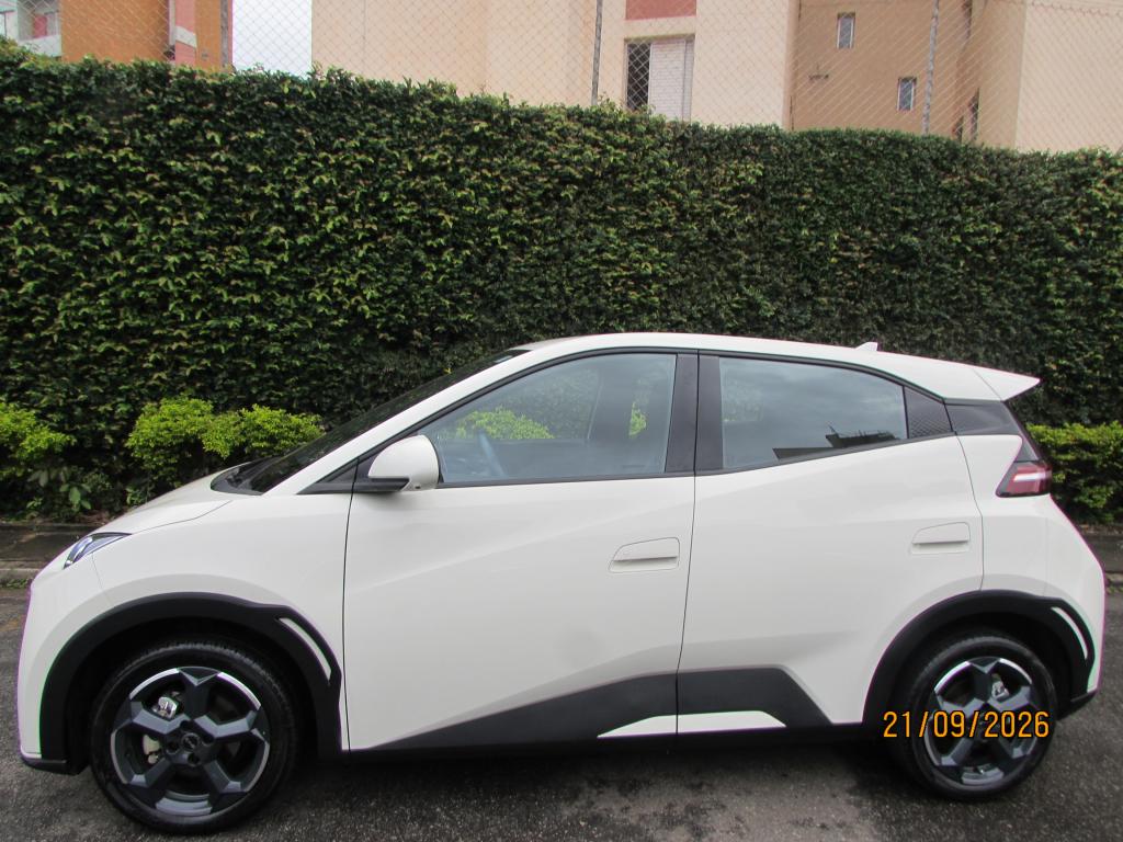 BYD Dolphin Mini - Foto