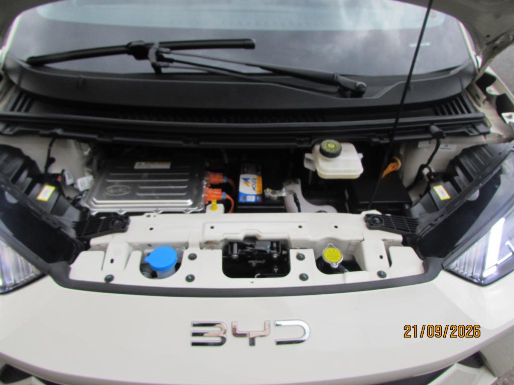BYD Dolphin Mini - Foto