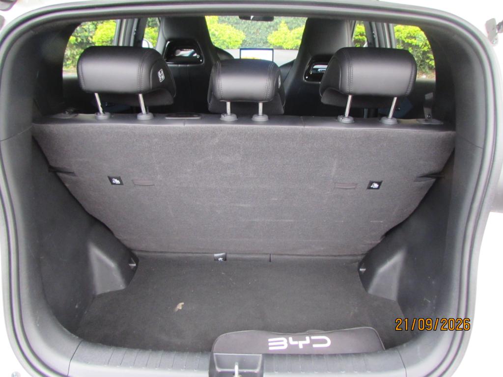 BYD Dolphin Mini - Foto