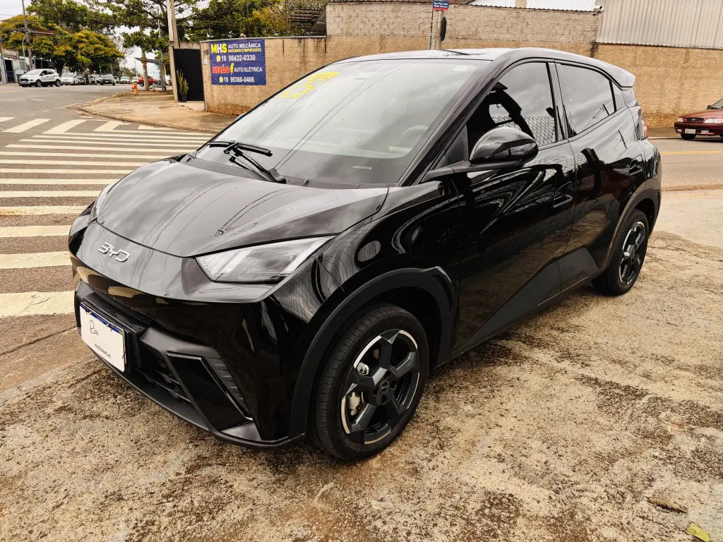 BYD Dolphin Mini