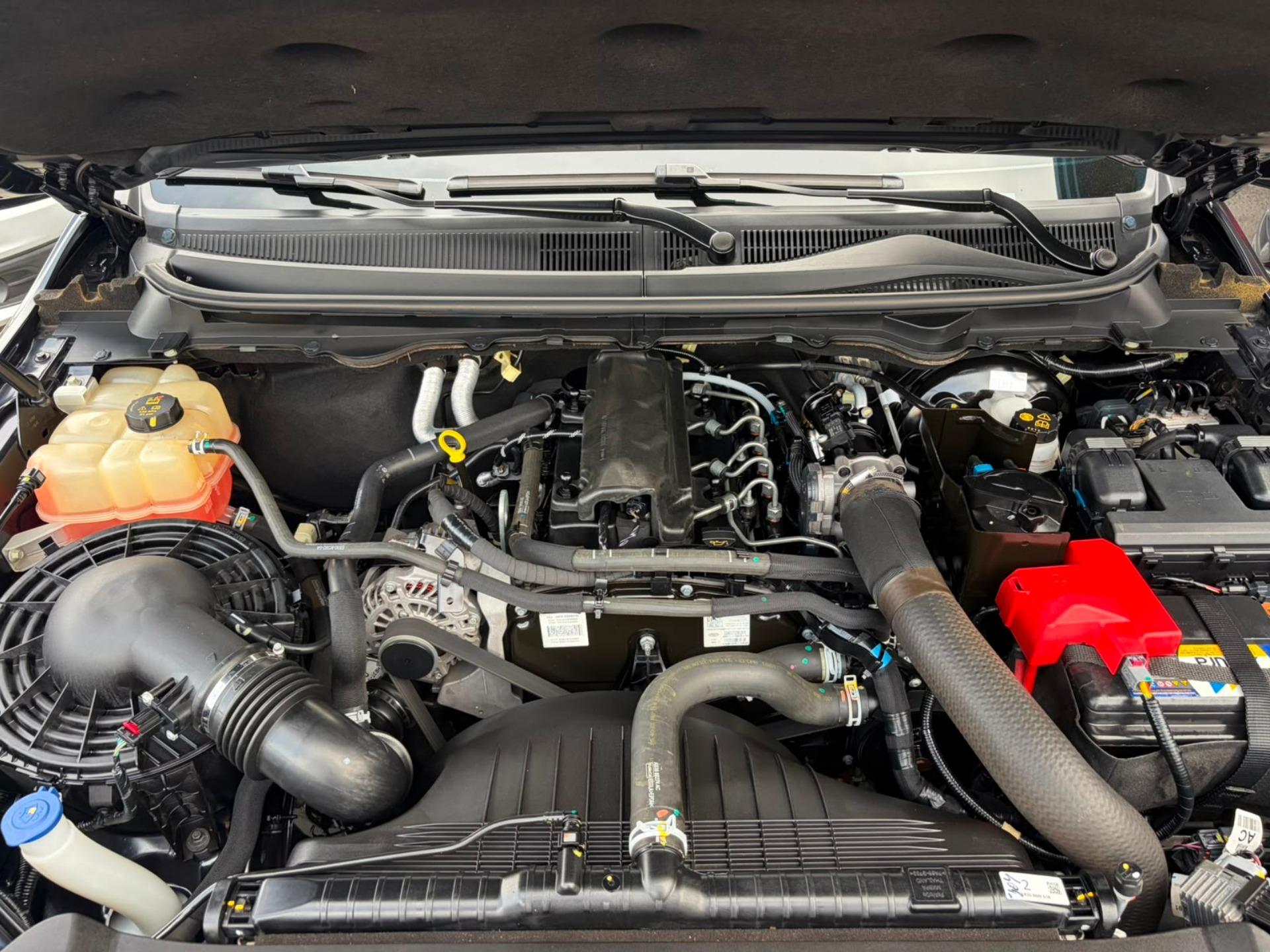 FORD Ranger - Foto