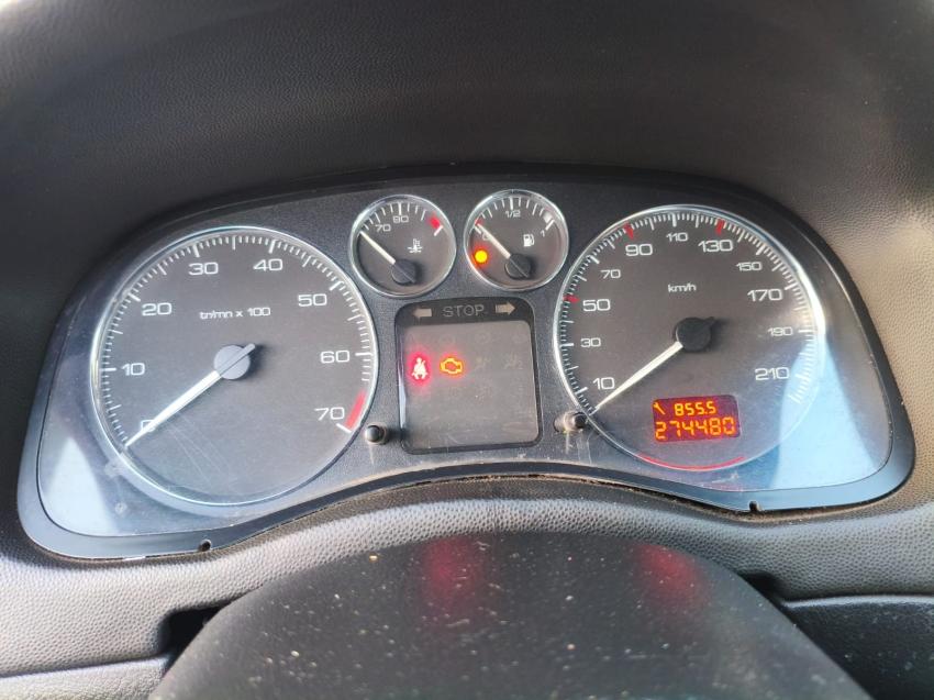 PEUGEOT 307 Hatch - Foto