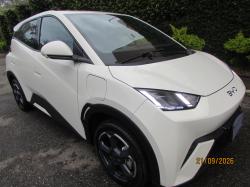 BYD Dolphin Mini 38 KW ELÉTRICO GS