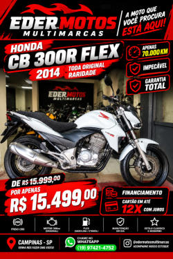 HONDA CB 300 R FLEX