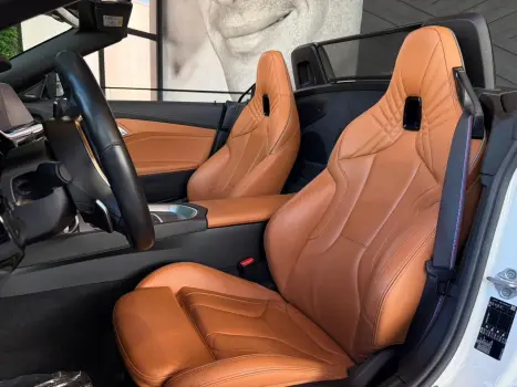 BMW Z4 2.0 16V TWINPOWER TURBO SDRIVE 30I M SPORT STEPTRONIC AUTOM�TICO, Foto 18