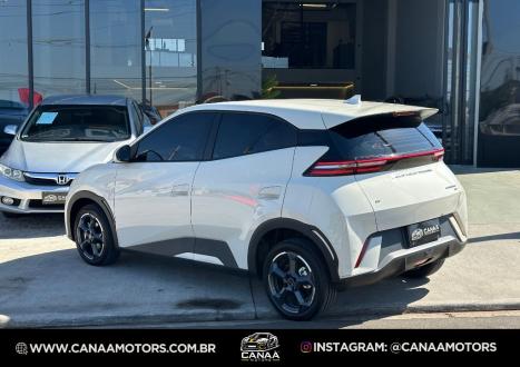 BYD Dolphin 44,9 KW EL�TRICO GS, Foto 4