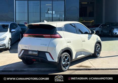 BYD Dolphin 44,9 KW EL�TRICO GS, Foto 6